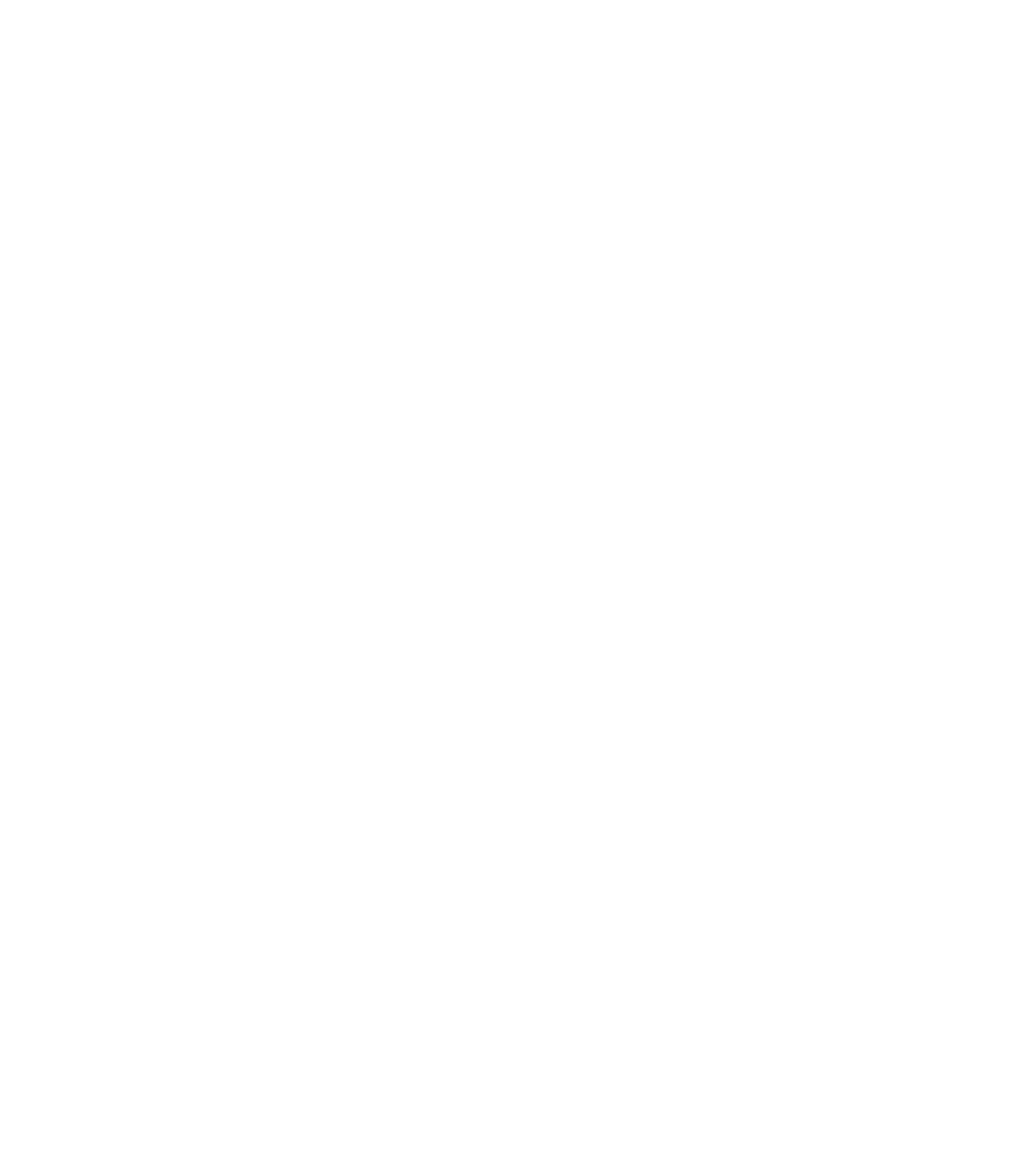 TikTok Logo